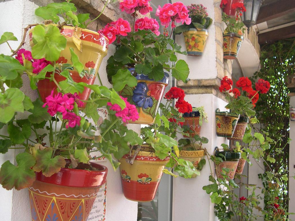 Hotel Cortijo Los Gallos Чиклана-де-ла-Фронтера Екстер'єр фото