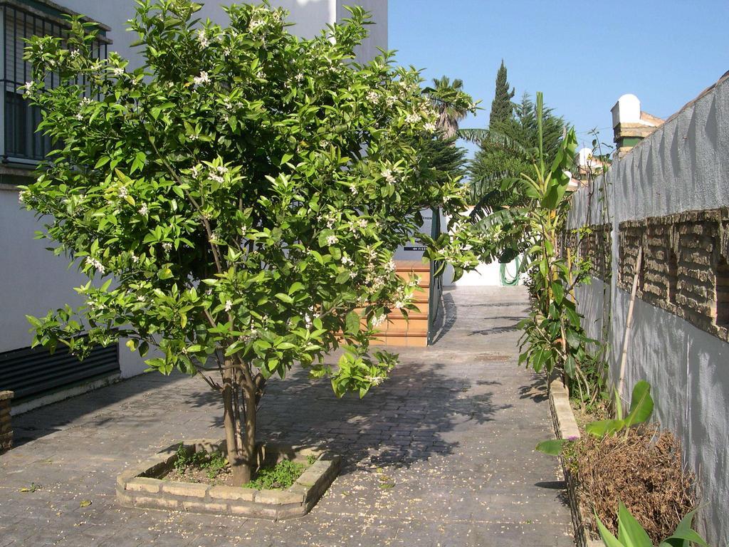 Hotel Cortijo Los Gallos Чиклана-де-ла-Фронтера Екстер'єр фото