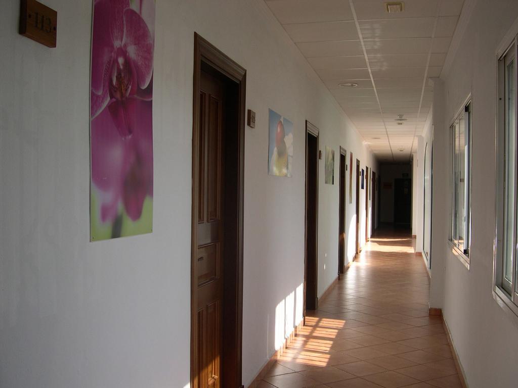Hotel Cortijo Los Gallos Чиклана-де-ла-Фронтера Екстер'єр фото