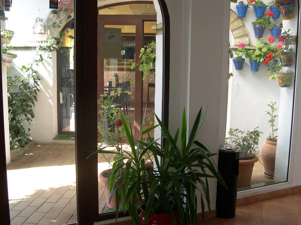 Hotel Cortijo Los Gallos Чиклана-де-ла-Фронтера Екстер'єр фото